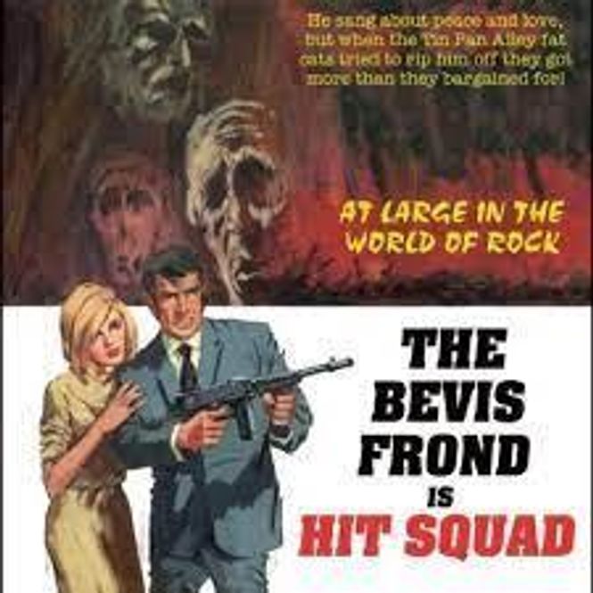 Hovedbilde The Bevis Frond-Hit Squad(Rsd2023)