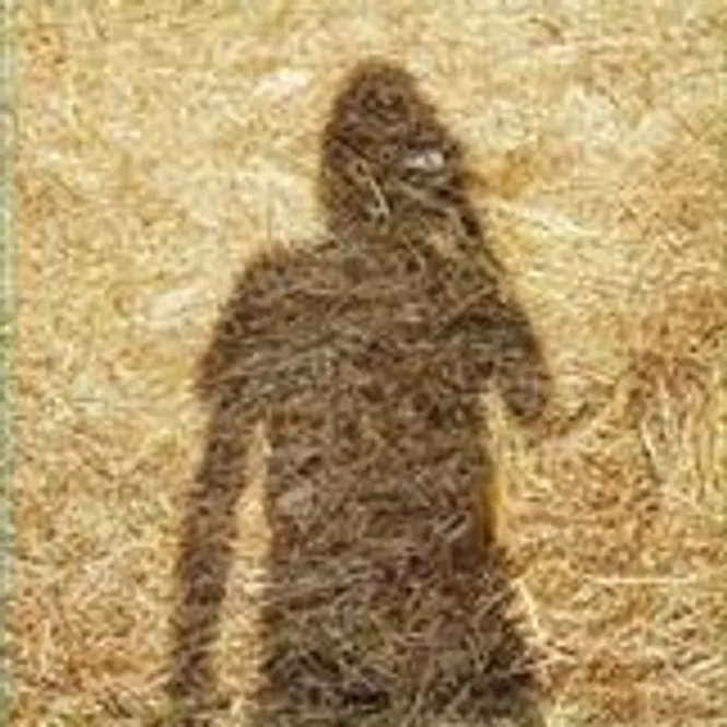 Hovedbilde Steven Wilson-Unreleased Electronic Music