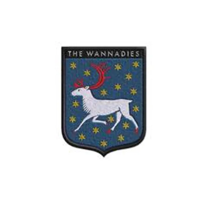 Hovedbilde Wannadies-Västerbotten(LTD 3LP)