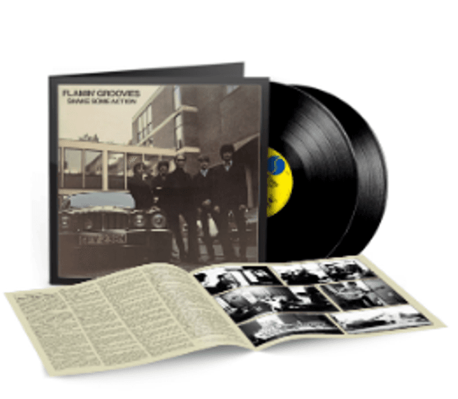 Hovedbilde FLAMIN' GROOVIES-Shake Some Action
