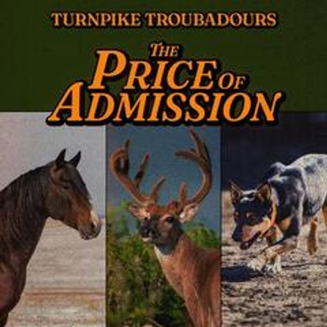 Hovedbilde Turnpike Troubadours-The Price Of Admission - LTD