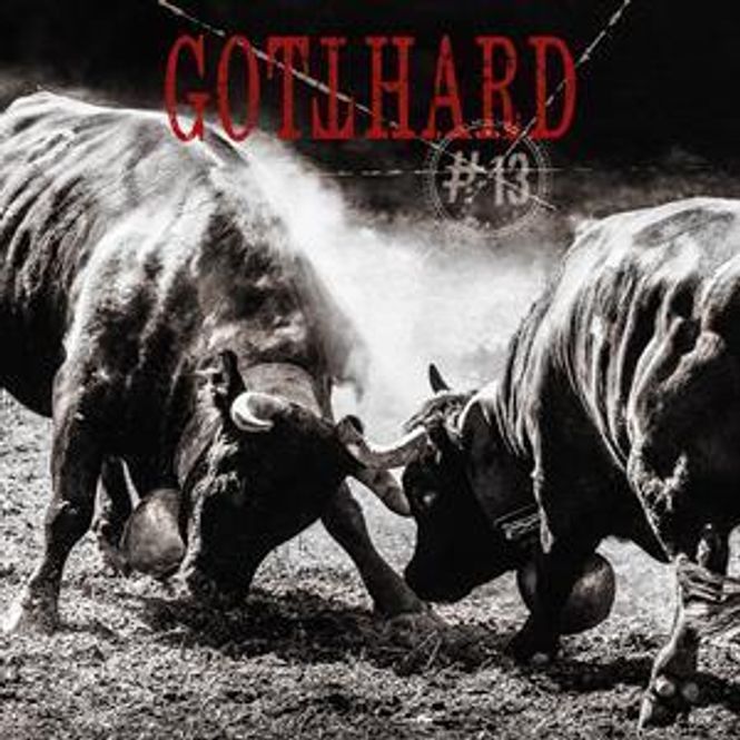 Hovedbilde GOTTHARD-#13