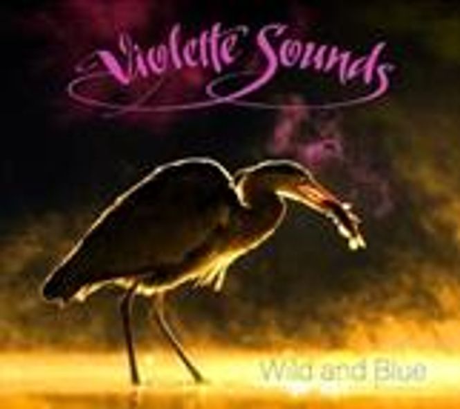 Hovedbilde VIOLETTE SOUNDS-Wild and Blue(LTD)
